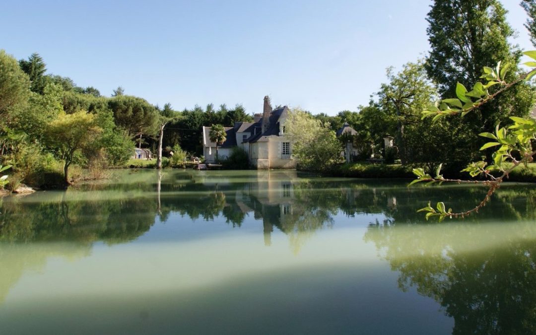 PROPRIÉTÉ MAJESTUEUSE EN PAYS DE LOIRE