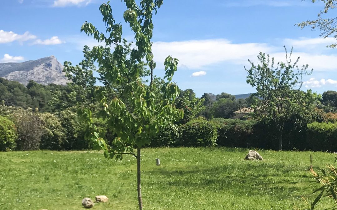 MAISON AVEC VUE SAINTE VICTOIRE AU CALME ABSOLU