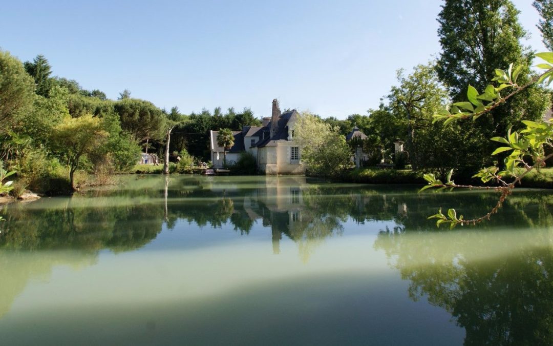 PROPRIÉTÉ MAJESTUEUSE EN PAYS DE LOIRE