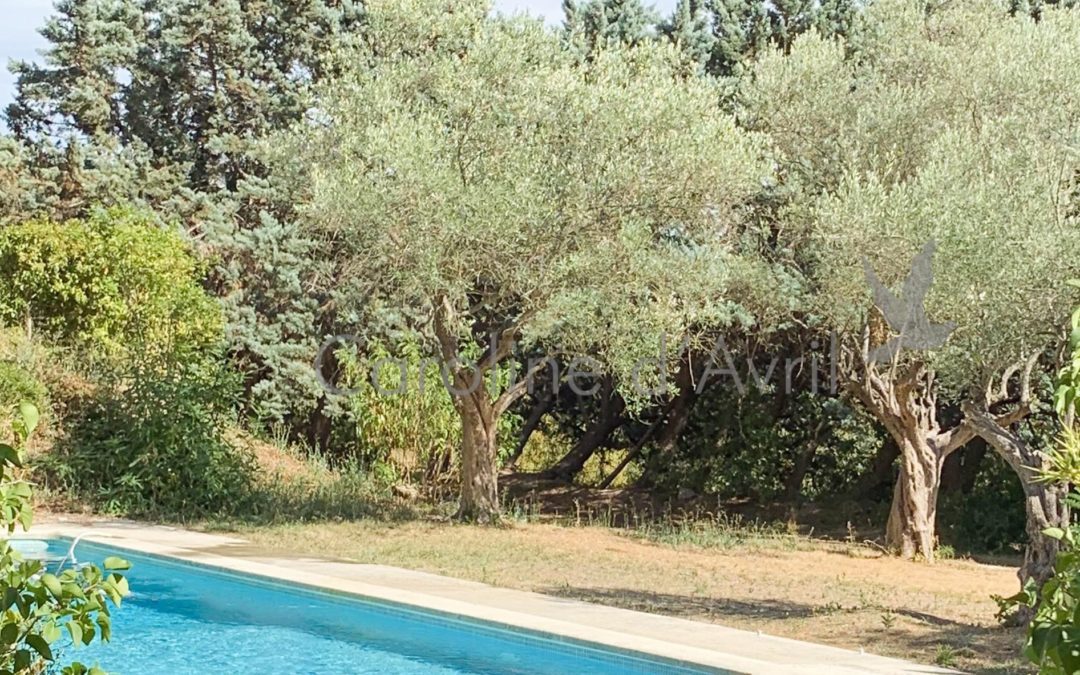 TERRAIN CONSTRUCTIBLE AVEC VUE SAINTE VICTOIRE