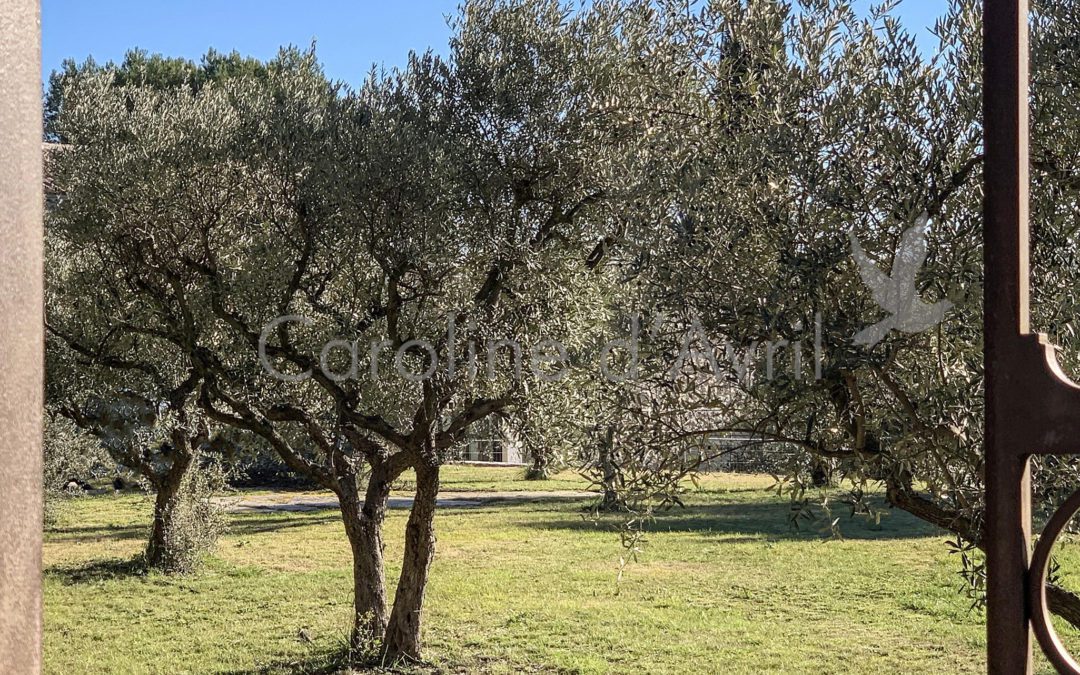 PROPRIETE AUX ALENTOURS D’AIX-EN-PROVENCE