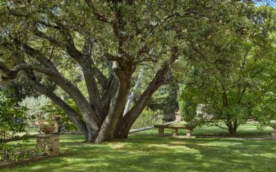 BASTIDE PROVENÇALE AU CALME ABSOLU AUX ABORDS D’AIX-EN-PROVENCE