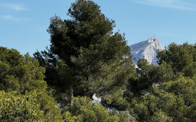 MAISON AGRANDISSABLE EN  PLEINE NATURE À 5 MINUTES D’AIX-EN-PROVENCE