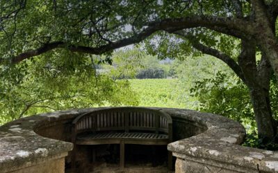 BASTIDE INTEMPORELLE AU COEUR DES VIGNES EN PROVENCE